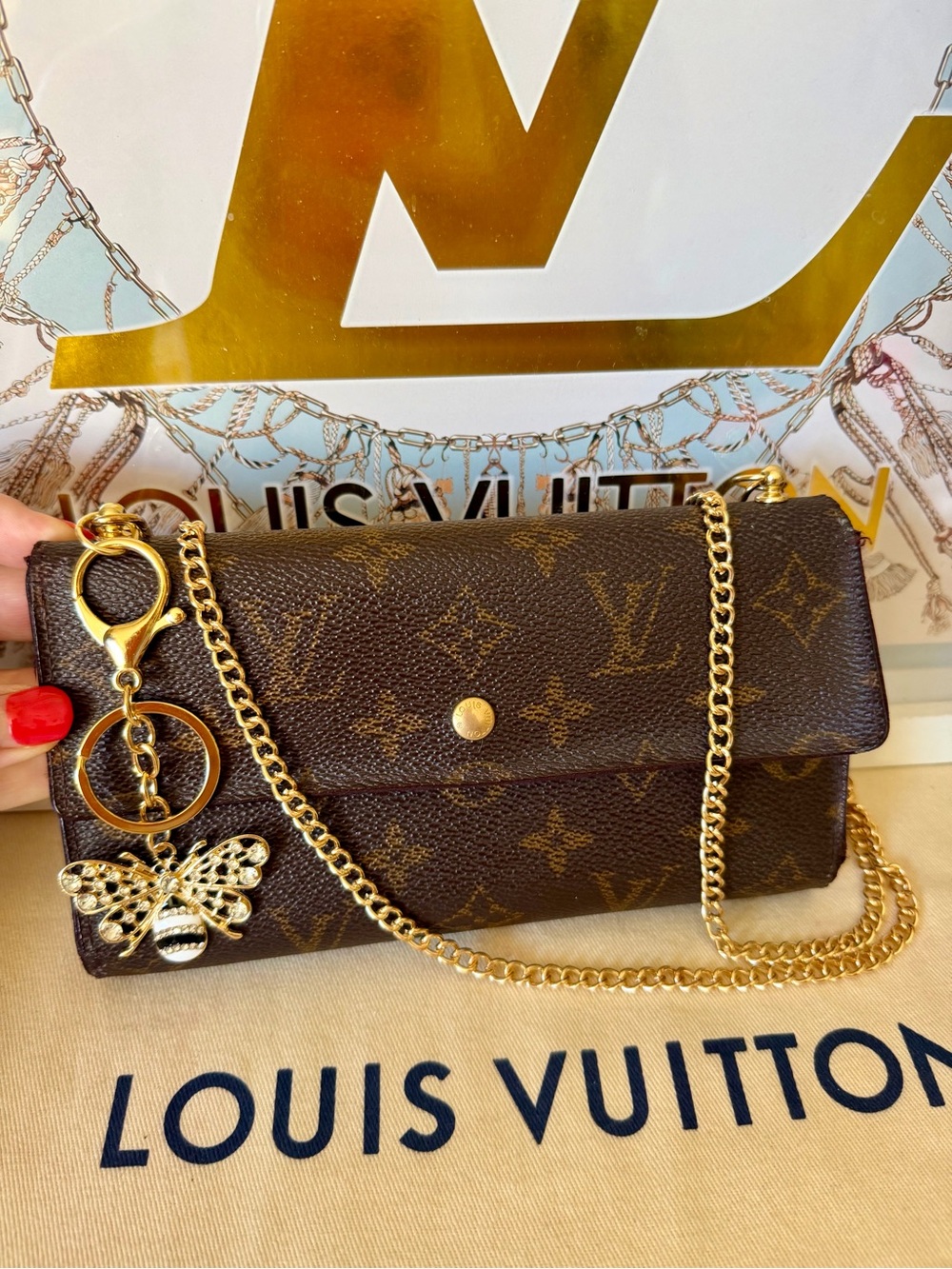 Louis Vuitton Vintage Long Wallet on Chain